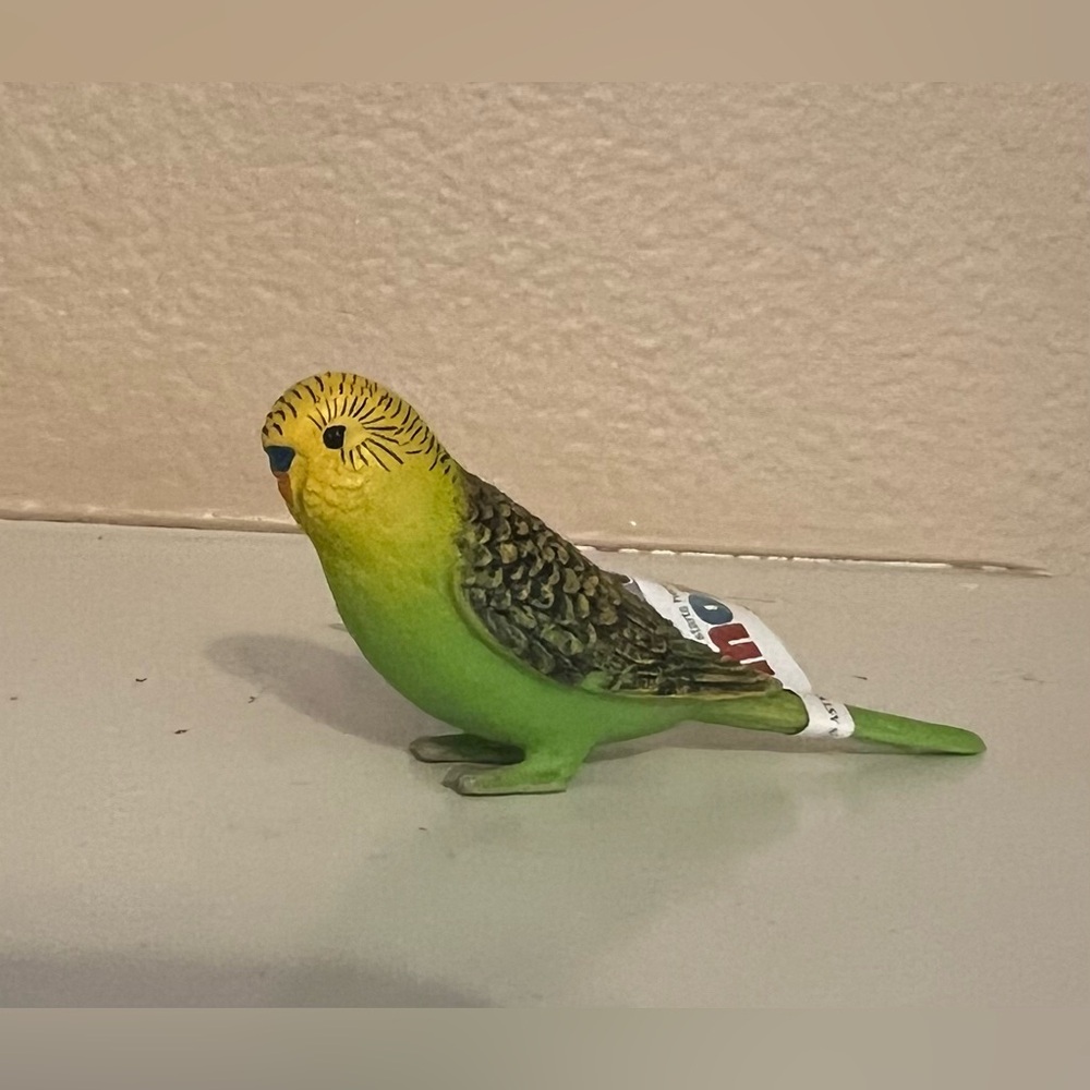 Mojo Green Burgerigar Bird